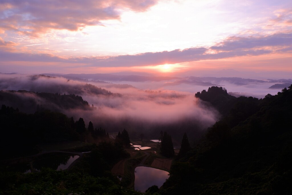 朝景