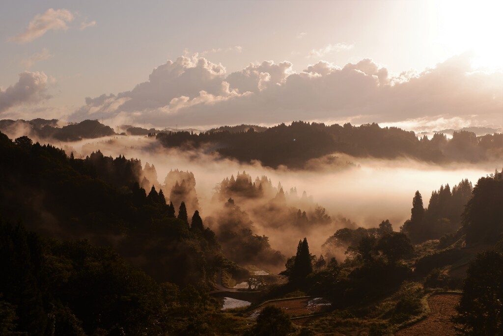 朝景