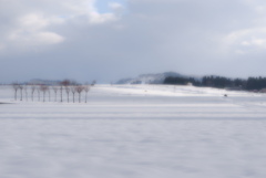 冬の景