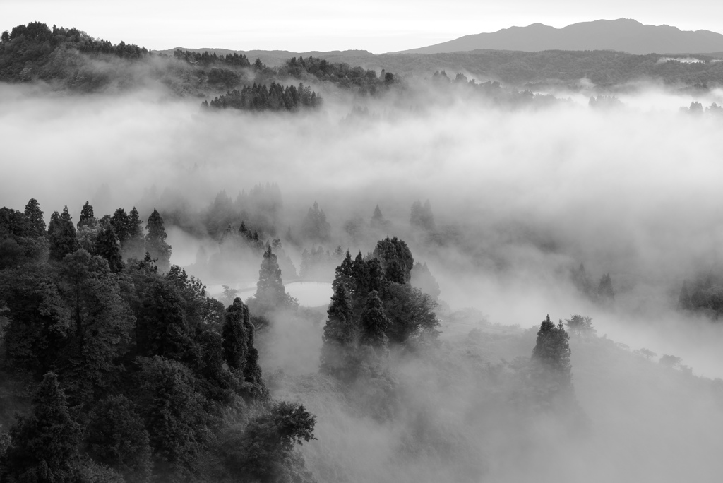 朝景～モノクロ