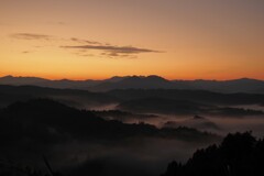 朝景