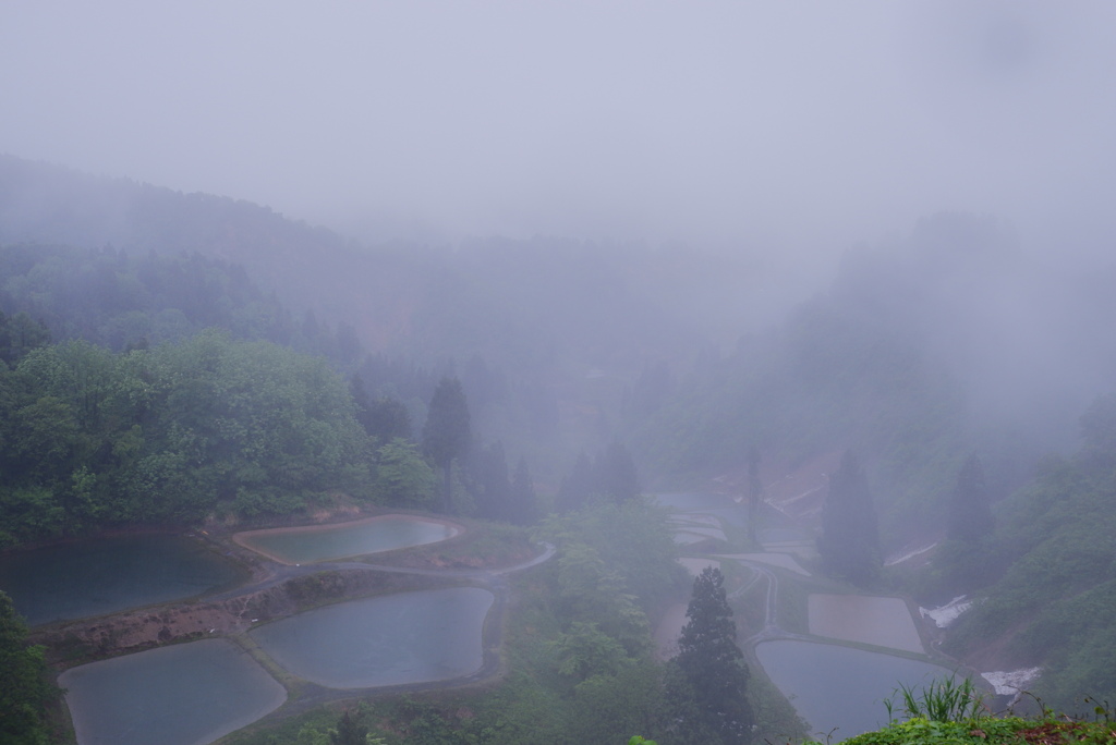 雨の朝