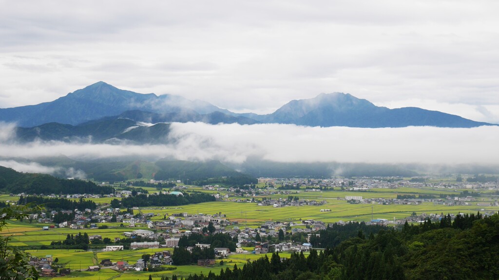 朝景