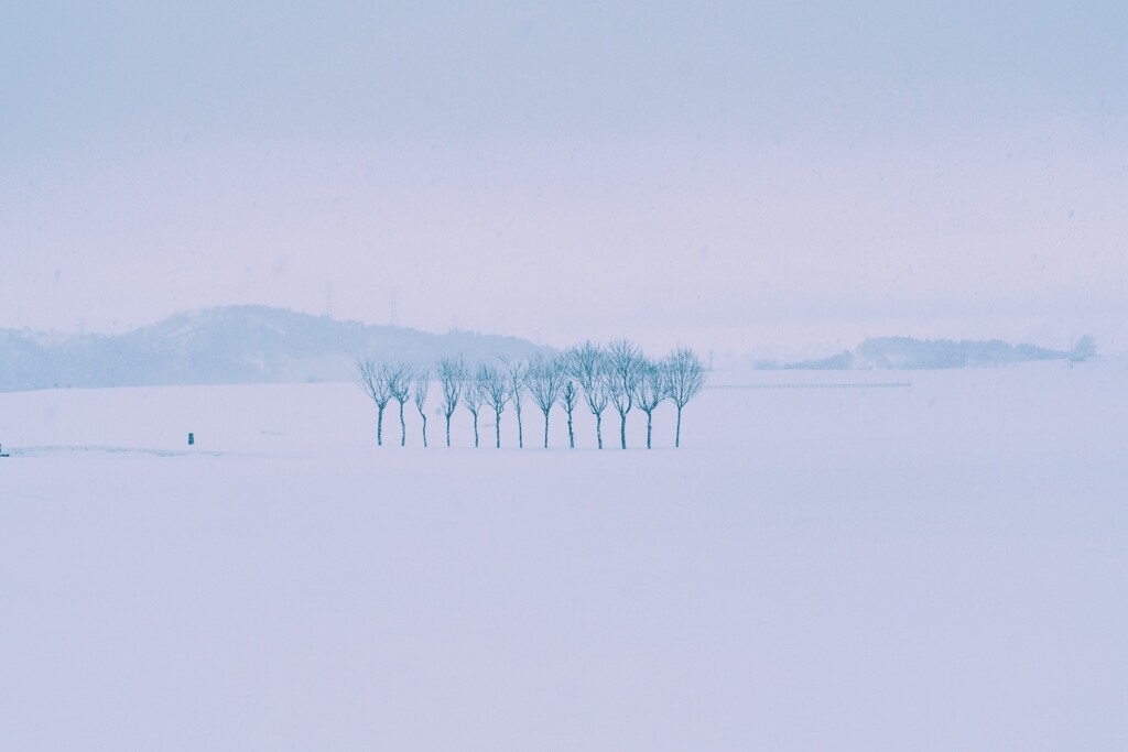 冬景