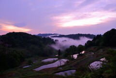 朝景