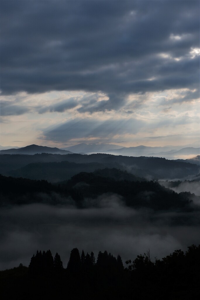 朝景