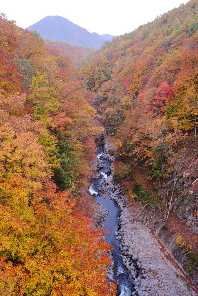 中津川渓谷～秋
