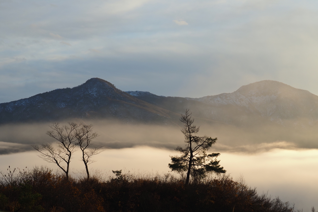 朝景