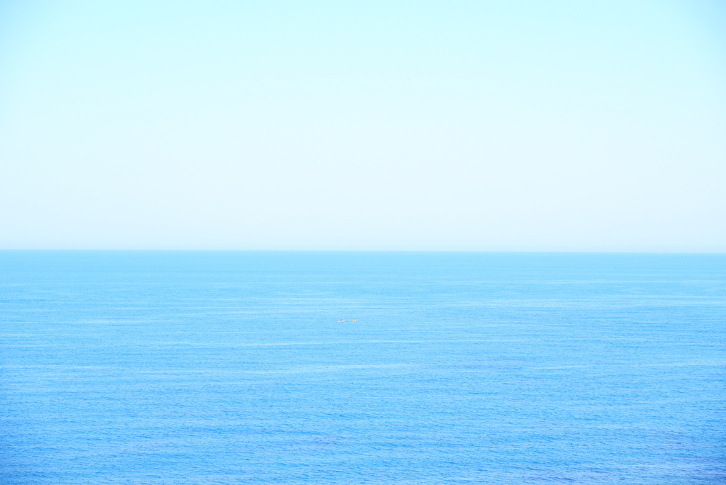 海