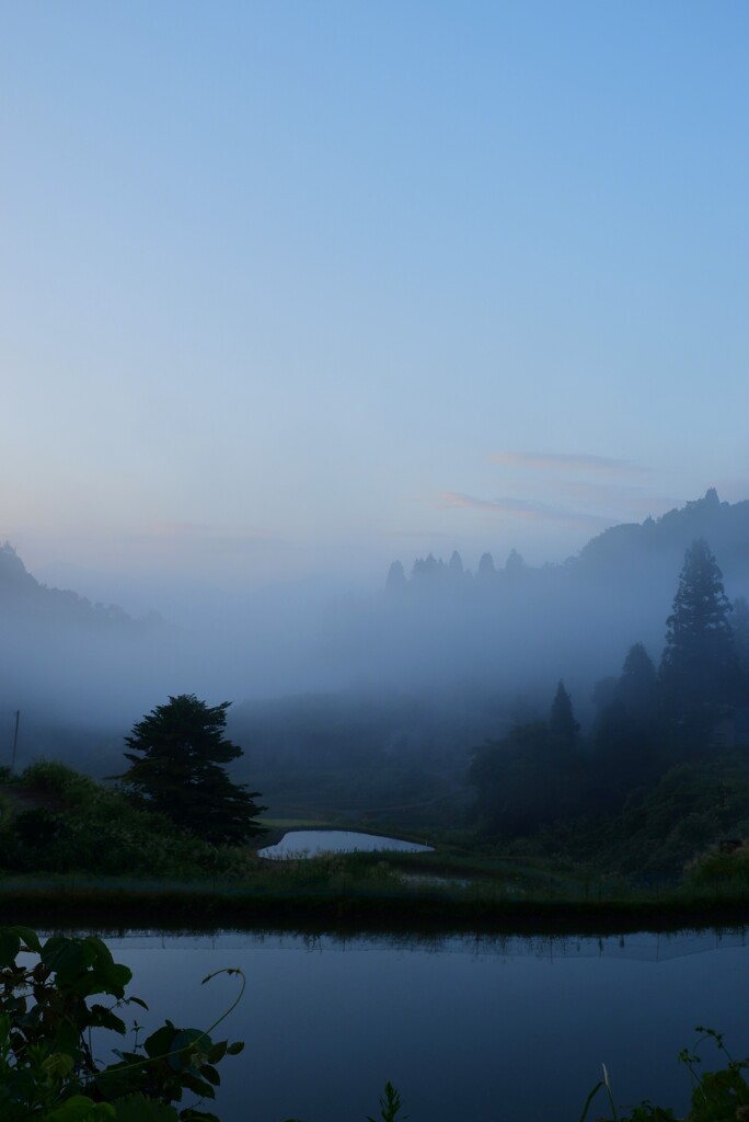 朝景