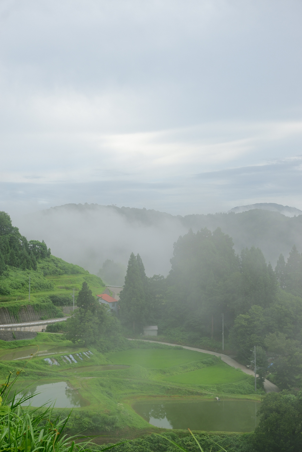 霧の朝