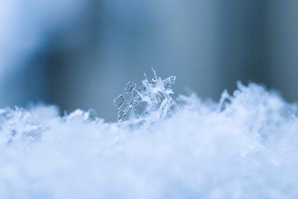 雪