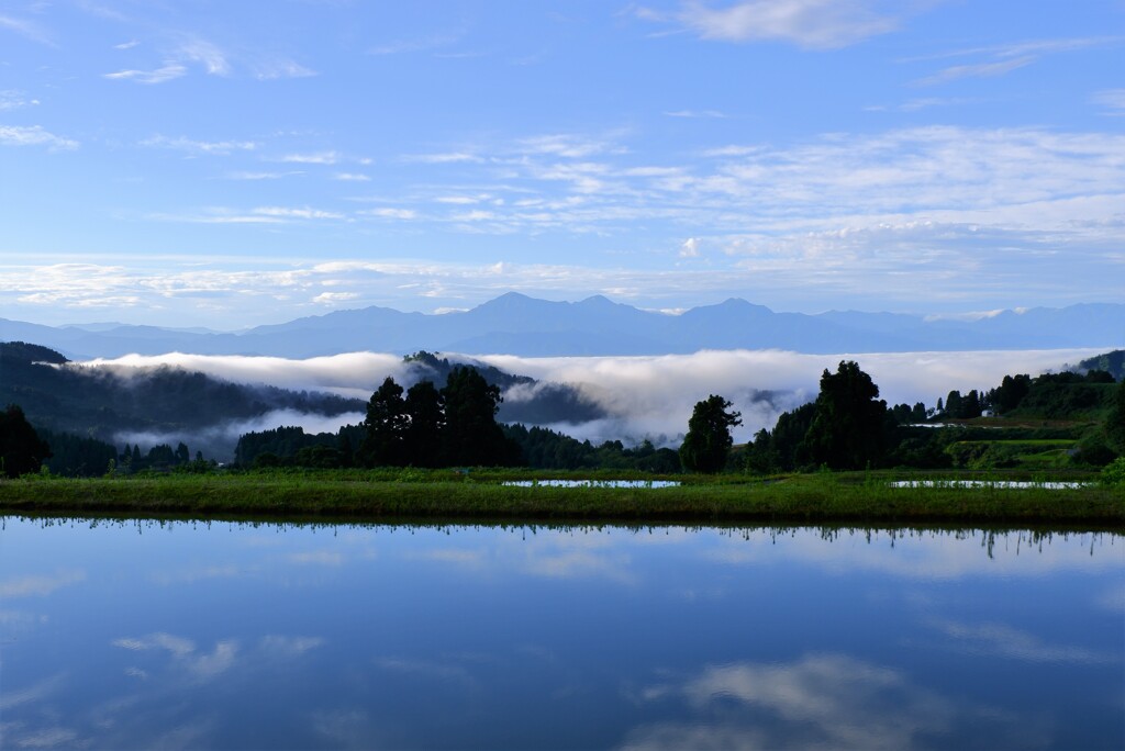 棚池の朝景