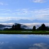 棚池の朝景