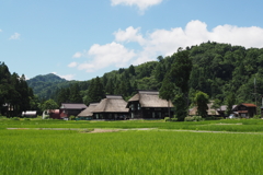 茅葺集落