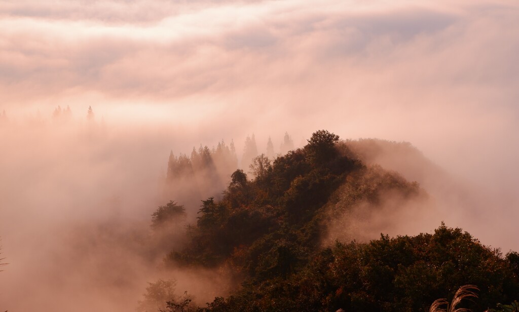 朝景。