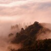 朝景。