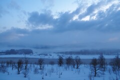 朝景