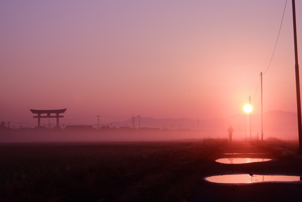 朝陽をあびて