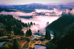 里山の朝