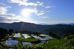 棚池の朝景