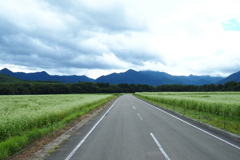 そばの道