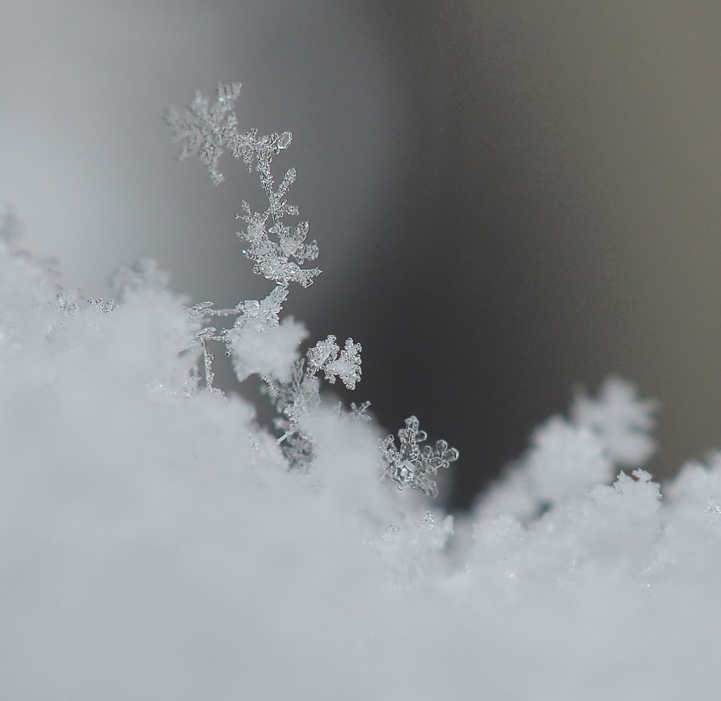雪