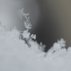 雪