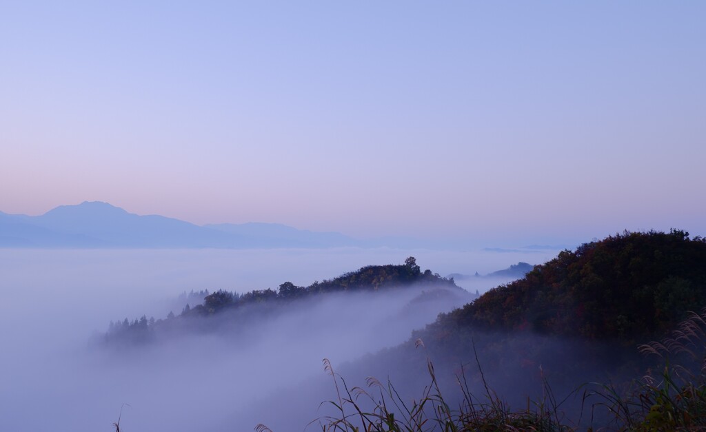 朝景・