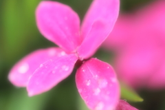 道端