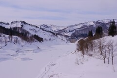 冬のダム湖