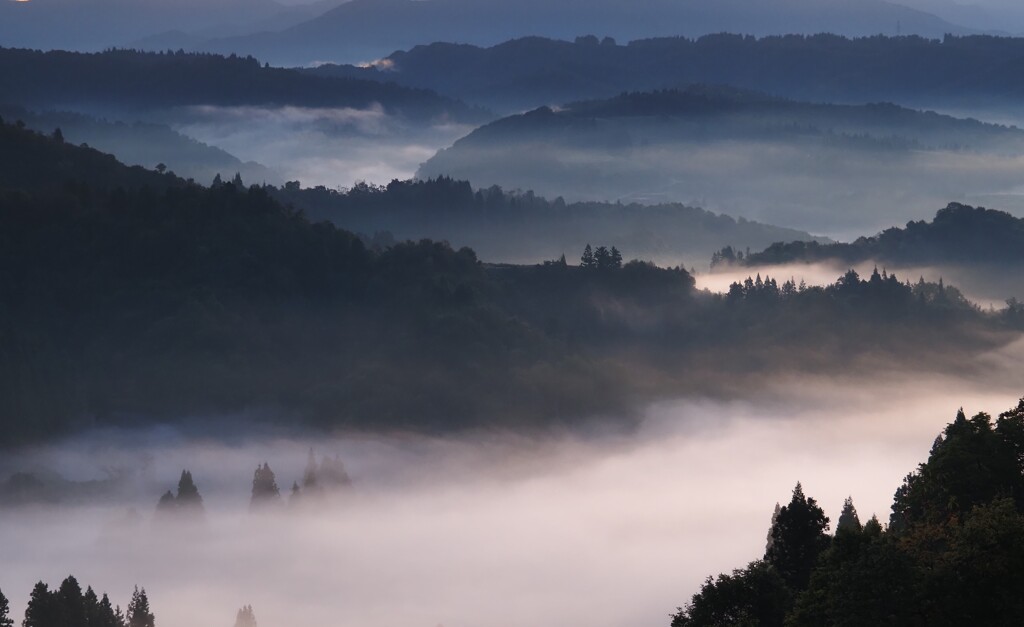 朝景
