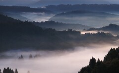 朝景