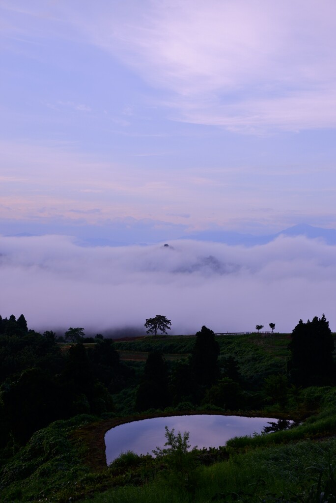 朝景