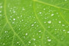 水滴