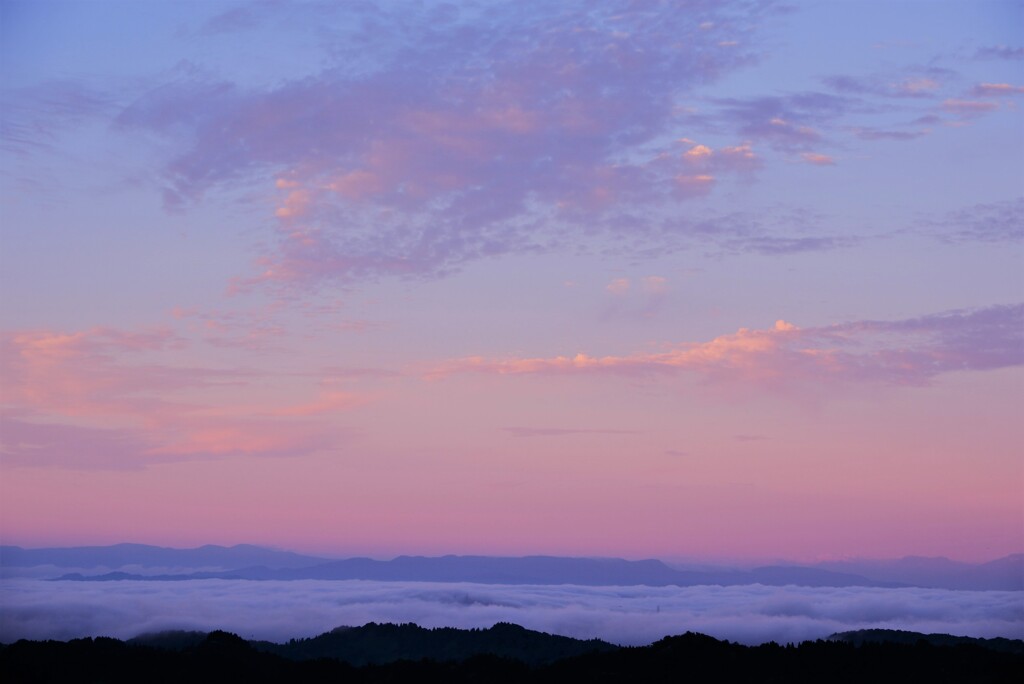 朝景