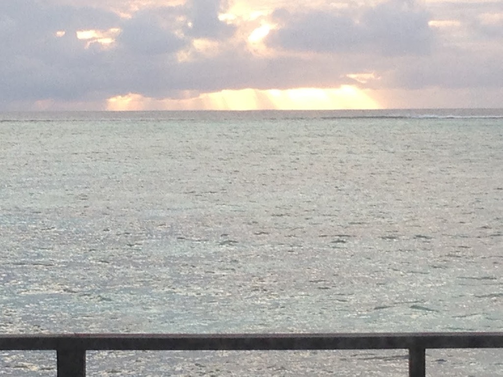 志村康太も感動する海