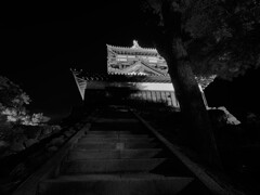 階段　丸岡城