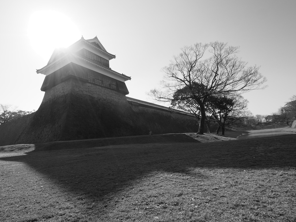 低い太陽　熊本城