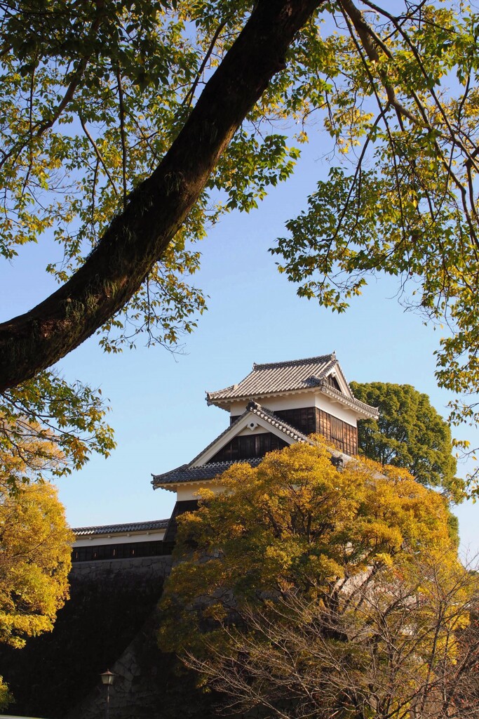 いつの日か　熊本城