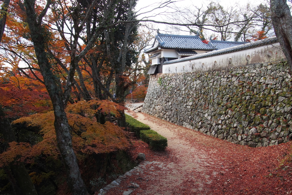 秋色の山城　備中松山城