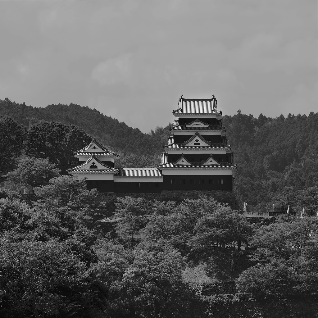 夏の大洲城