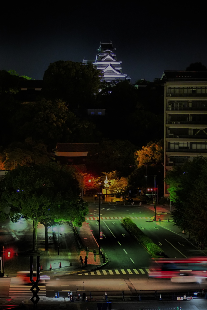 熊本城下の夜