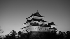 御三家の天守　和歌山城