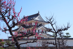 もうすぐ春ですね　尼崎城