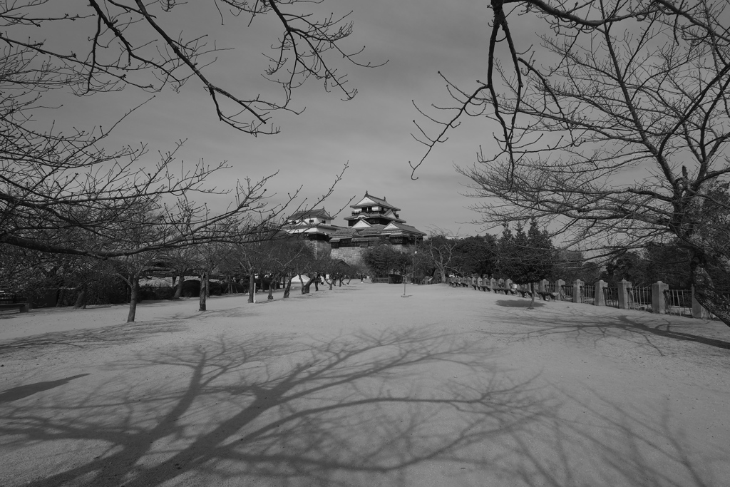 待ち遠しい春　松山城