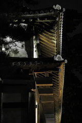 夜の景色　弘前城