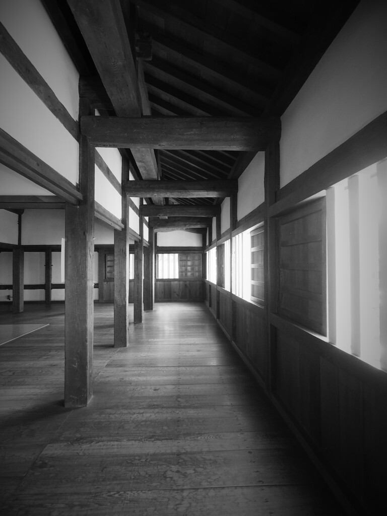 伸びる　名古屋城清洲櫓