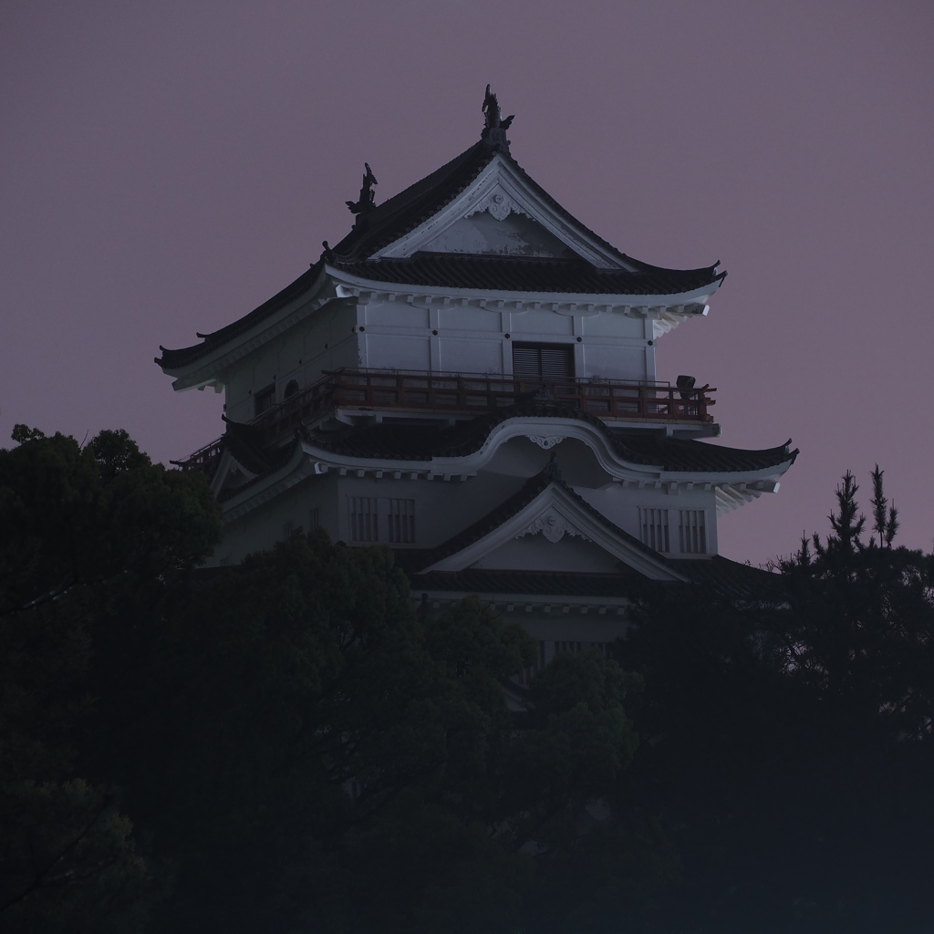 時代　福山城天守
