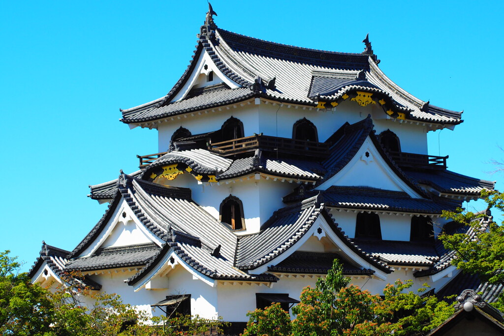 蒼い風　国宝彦根城天守